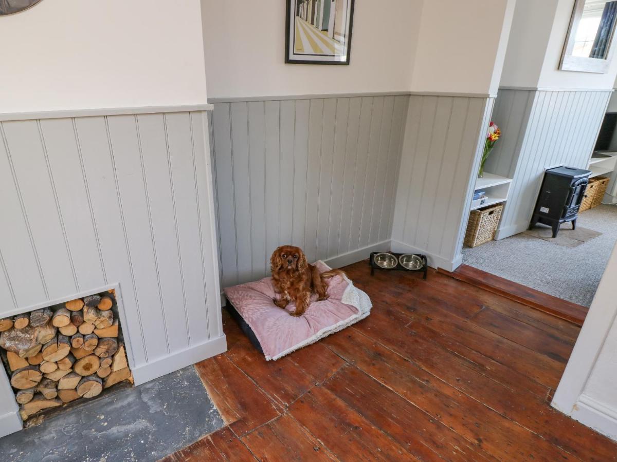 1 Tulse Hill Cottages Ventnor Εξωτερικό φωτογραφία